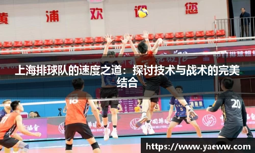 上海排球队的速度之道：探讨技术与战术的完美结合
