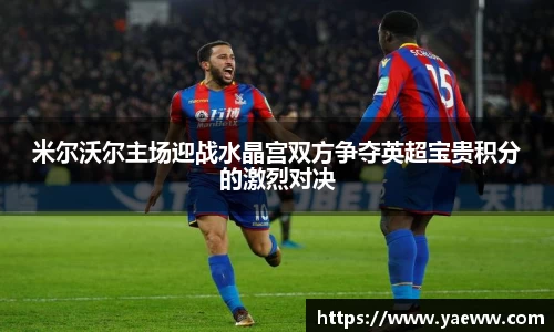 米尔沃尔主场迎战水晶宫双方争夺英超宝贵积分的激烈对决